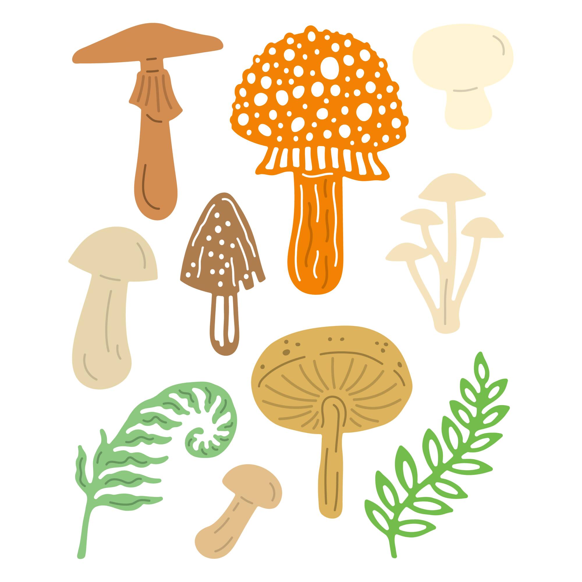 6 Pack: Mushroom Cutting Die Set by Recollections™
